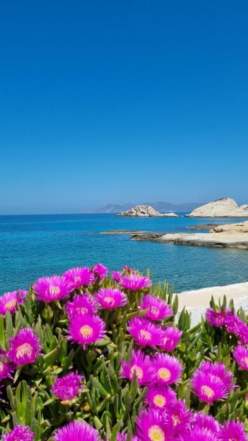 Anassa Milos House Mandrakia المظهر الخارجي الصورة